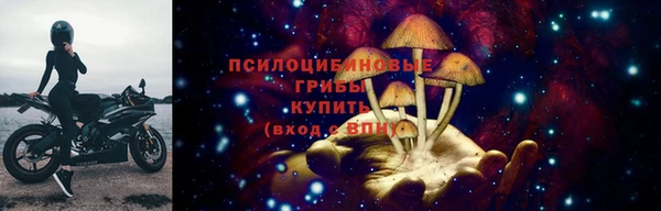 амф Алзамай
