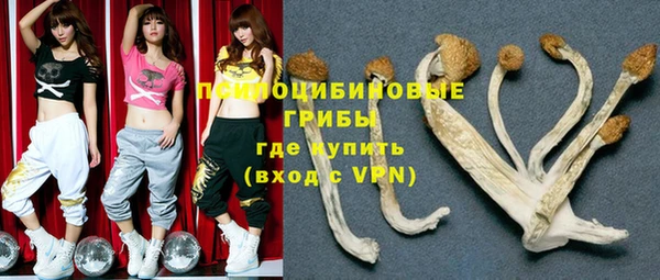 прущая мука Алексин