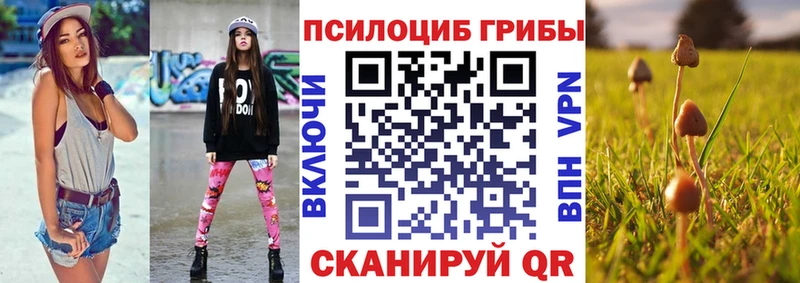 Псилоцибиновые грибы Cubensis Иланский